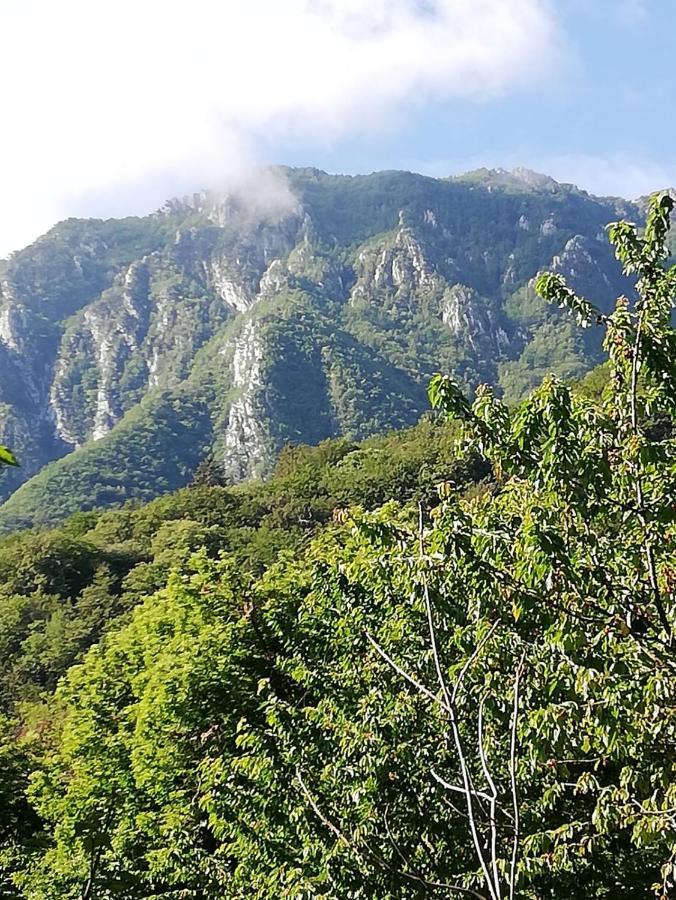 Antica Casa Ortensia Riva del Garda Buitenkant foto