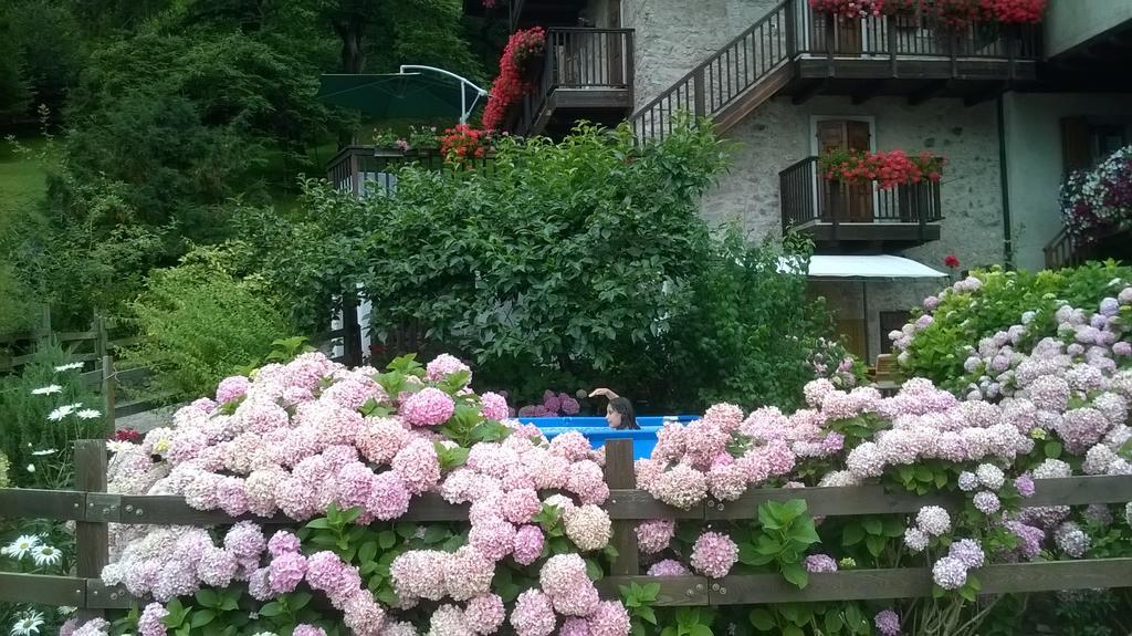 Antica Casa Ortensia Riva del Garda Kamer foto
