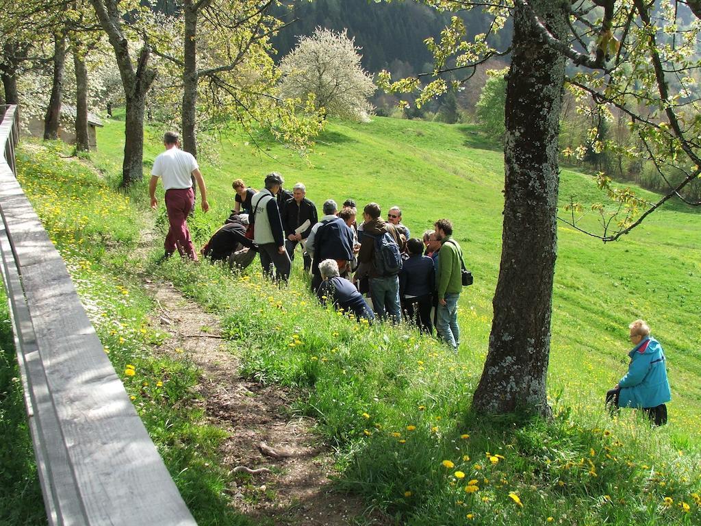 Antica Casa Ortensia Riva del Garda Kamer foto